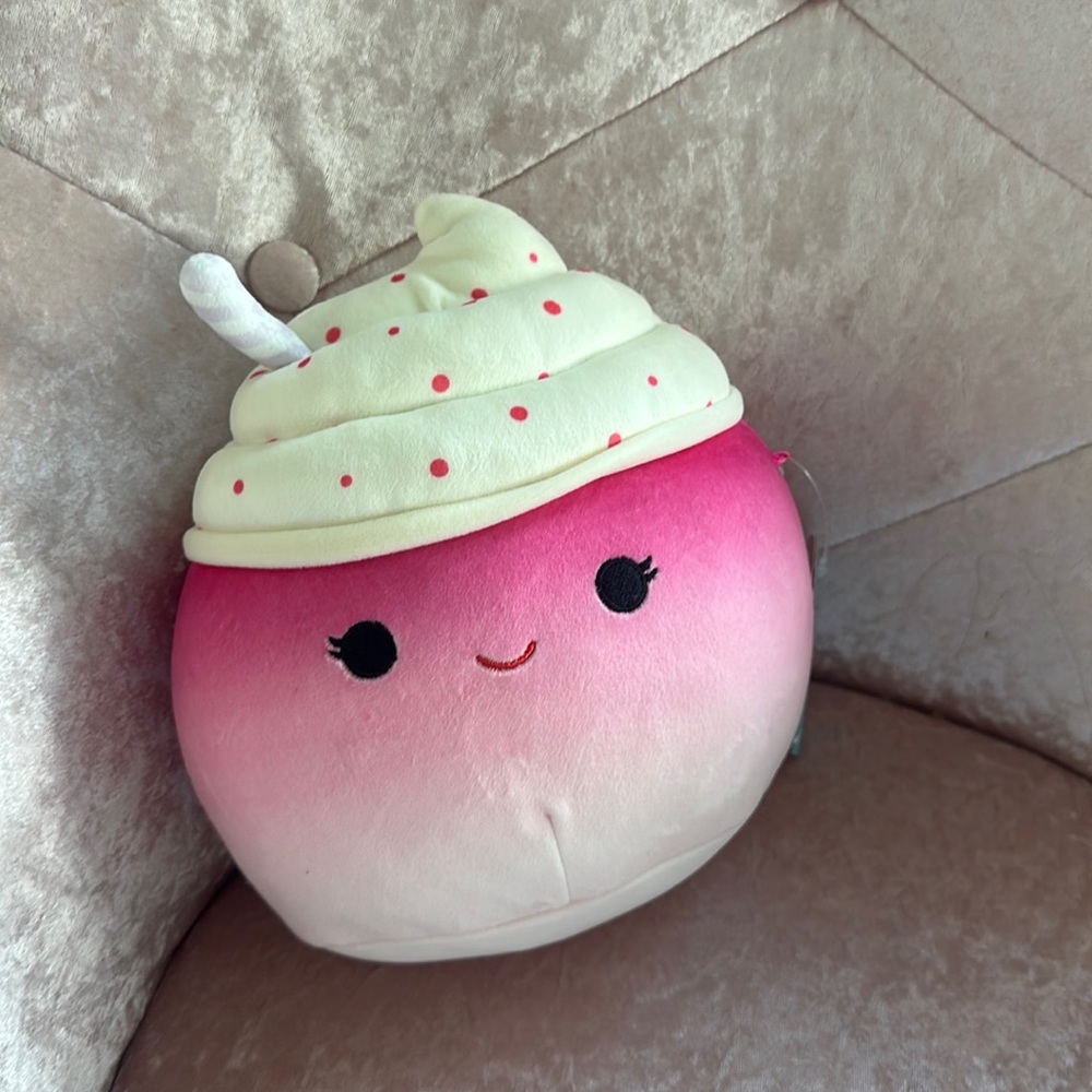 NWT Squishmallow Cinnamon
